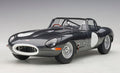 Jaguar E-Type LTW